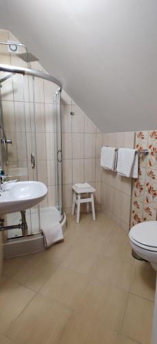 Kúpeľňa v ubytovaní Willa Pamiętnik