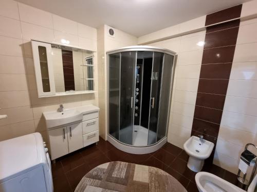 a bathroom with a shower and a sink and a toilet at Rent Grand Delux Apartments Design in Chisinau in Chişinău