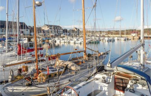 un groupe de bateaux amarrés dans un port dans l'établissement Holiday Home Barach, à Plouha