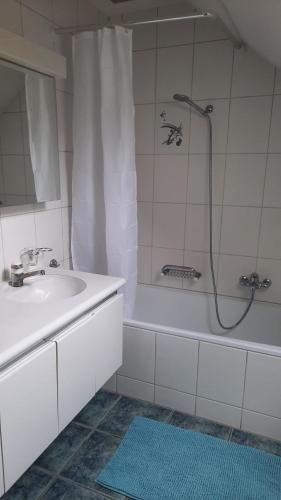 y baño con ducha, lavabo y bañera. en Pilgerhüsli Backpacker, en Stäfa
