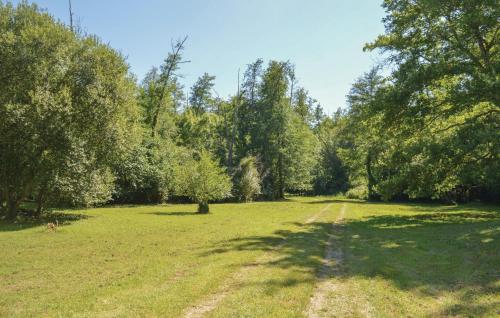 un champ planté d'arbres et un chemin de terre dans l'établissement 4 Bedroom Lovely Home In Mouleydier, à Mouleydier