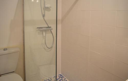 uma casa de banho com uma cabina de duche em vidro e um WC. em Stunning Home In Mouleydier With 4 Bedrooms, Wifi And Outdoor Swimming Pool em Mouleydier
