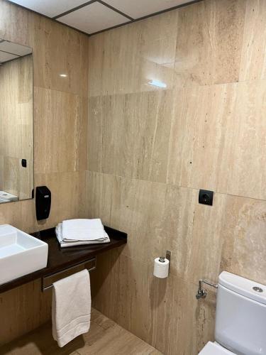 a bathroom with a sink and a toilet and a mirror at VTZ Hotel San Valero in Zaragoza