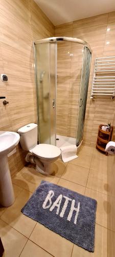 a bathroom with a toilet and a shower and a rug at Willa 1910 in Karpacz