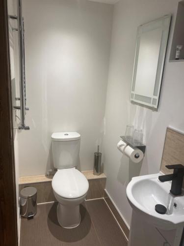 a bathroom with a white toilet and a sink at Comus Inn in Selby