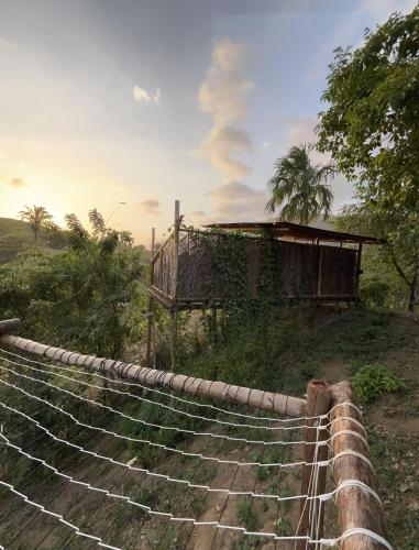 a set of steps leading to a building on a hill at The Valley Tayrona hostel- A social jungle hostel in El Zaino