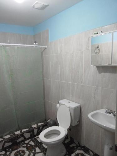 a bathroom with a toilet and a sink at Casa Los Robles in Trevelín