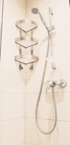 a shower with a shower head in a bathroom at Wici 2 Apartments Teofilow Wodny Raj in Teofilów