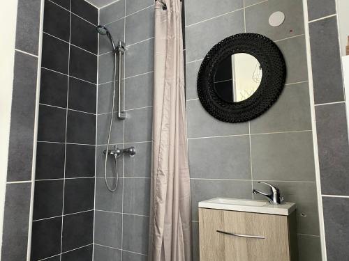 Koupelna v ubytování Appartements VIZILLE GRENOBLE - Route Napoleon