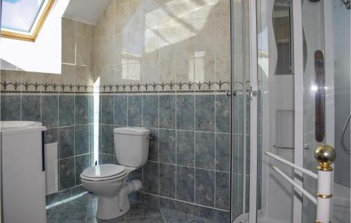ein Bad mit einem WC und einer Dusche in der Unterkunft Gorgeous Apartment In Treguier With Kitchen in Tréguier