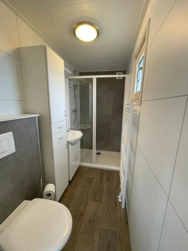 a small bathroom with a toilet and a shower at Chalet (J09) op gezellige familiecamping bij zee in Kamperland