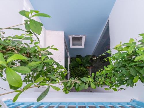 a window with plants on the side of a building at Cô Tư's Homestay in Phan Thiet
