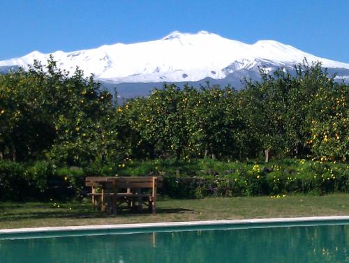 a wooden bench in front of a snow covered mountain at Agriturismo Galea in Riposto