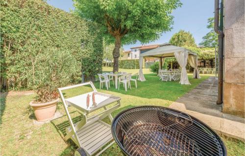 Begonie – Photos 5
