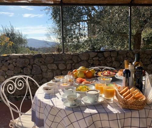 Fattoria Lornano Winery – Photos 3