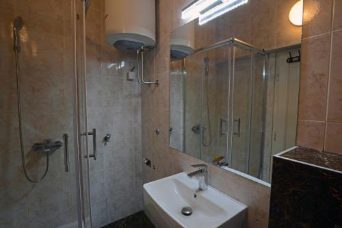uma casa de banho com um chuveiro, um lavatório e um espelho. em Apartman Aleksandra centar em Belgrado