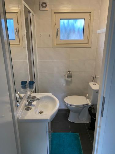 a bathroom with a sink and a toilet at Chalet 505 op Recreatiepark De Wielen in Sint Maarten