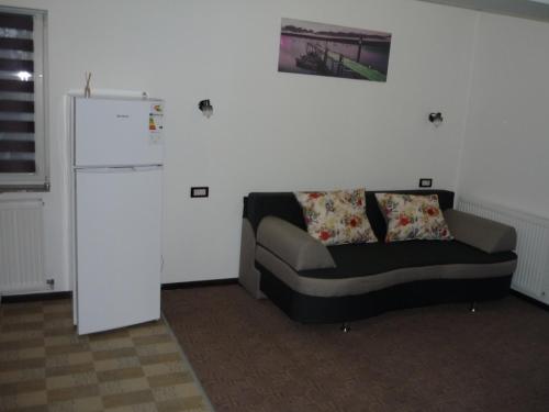 a living room with a couch and a refrigerator at Casa de la Nuc in Târgu Jiu