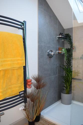 y baño con ducha, toalla amarilla y plantas. en 6 Trungle Terrace en Paul