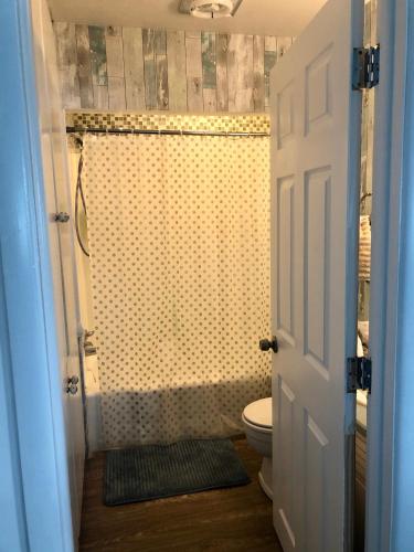 a bathroom with a shower with a toilet in it at Lake Front Home Near Peek'n Peak in Findley Lake