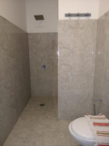 a bathroom with a shower with a toilet in it at Savane Paille in Deshaies