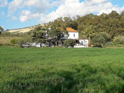 Príroda v okolí vily