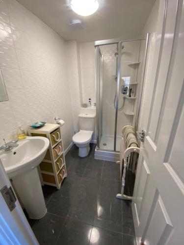 a bathroom with a shower and a toilet and a sink at Flint Lodge in Peacehaven