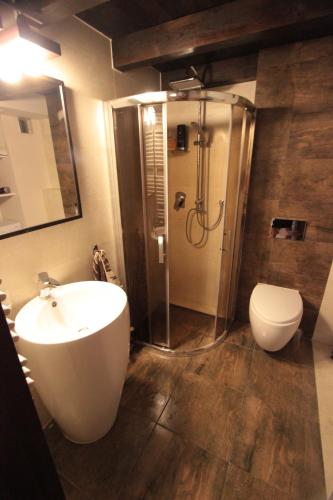 a bathroom with a shower and a sink and a toilet at Loft Niezapominajka w Tobaco Park in Łódź