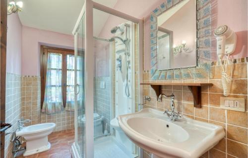 ein Bad mit einem Waschbecken, einem WC und einer Dusche in der Unterkunft Cinque Querci, Lucignano in Lucignano