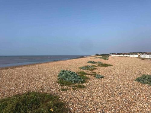 una playa con algunas plantas en la arena en Goring Beach Studio - 2 min walk from seafront, en Goring by Sea