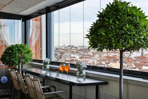 a table with a potted tree in front of a window at Emperador in Madrid