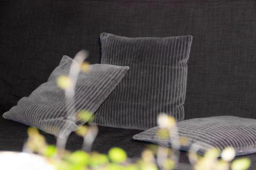 two pillows sitting on a couch with flowers in front of them at Ferienwohnung Bruderwald in Bamberg
