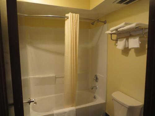a bathroom with a shower and a toilet at Brick Motor Inn in Brick