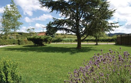 un champ avec un arbre et quelques fleurs violettes dans l'établissement Gite De La Lombardie, à Lottinghen
