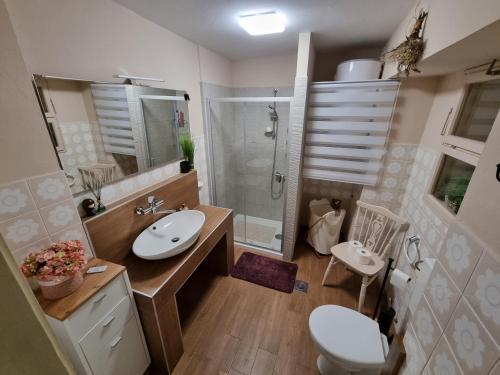 a bathroom with a sink and a shower and a toilet at Comfy apartment in Krasica