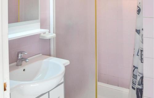 uma casa de banho com um lavatório e um chuveiro em Nice Home In Pleuven With Wifi em Pleuven