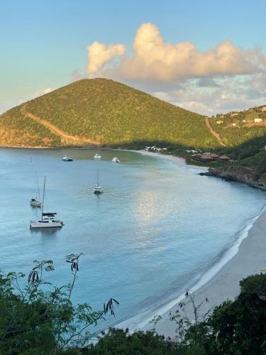 a group of boats in the water on a beach at Ocean View Villas in Jost Van Dyke