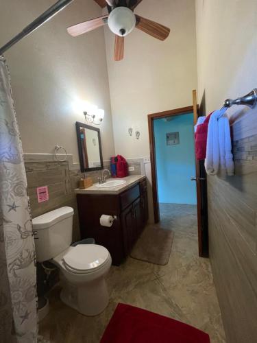 a bathroom with a toilet and a sink and a ceiling fan at Ocean View Villas in Jost Van Dyke