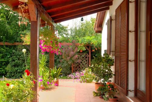 an outside walkway with flowers and plants at Vila Poiana in Snagov