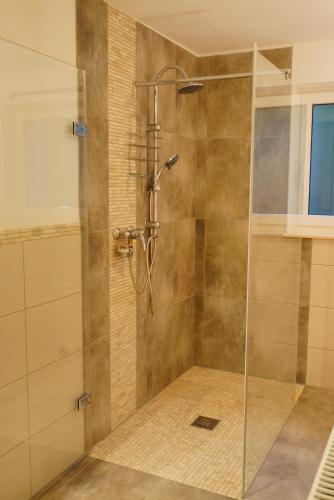a shower with a glass door in a bathroom at Ferienwohnung Am Eifelsteig, Golbach in Kall