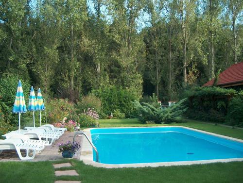 a swimming pool with chairs and umbrellas in a yard at Vila Poiana in Snagov
