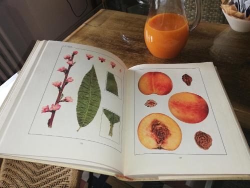 an open book on a table with an orange juice at Villa Ceirano in Lagnasco