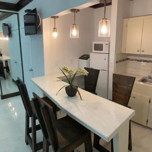 a kitchen with a table with a potted plant on it at Colony Club Inn & Suites in Nassau