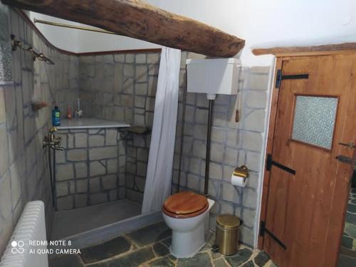 uma pequena casa de banho com WC e chuveiro em Afrodite's House-Restaurated Oil Factory em Ayiá