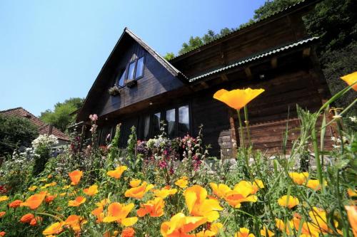 Gallery image of Pensiunea Dacica in Boşorod