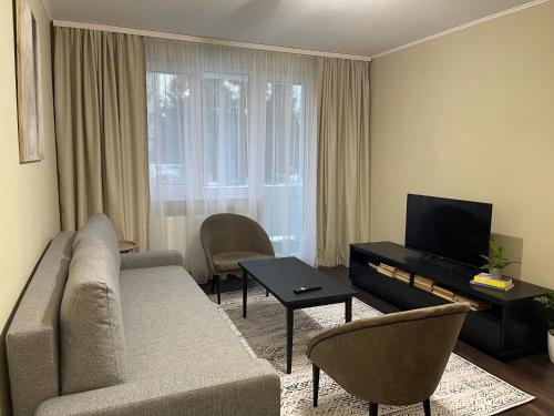 Una sala de estar con un sofá y un televisor. en Igla House, en Baia Mare