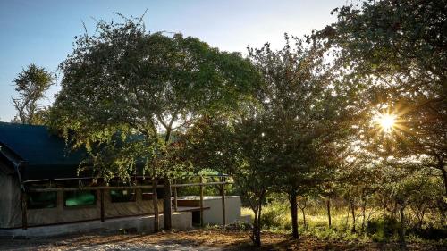 una casa con il sole che splende tra gli alberi di ZuriCamp - Tent Madini a Tsumeb