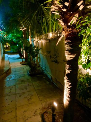 a patio with a fence and a tree with lights at Colony Club Inn & Suites in Nassau