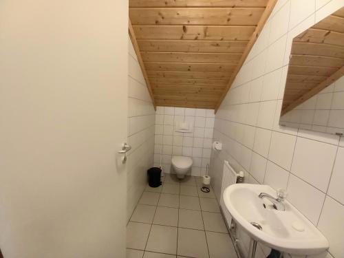 a bathroom with a sink and a toilet at Haus Branol in Hermagor