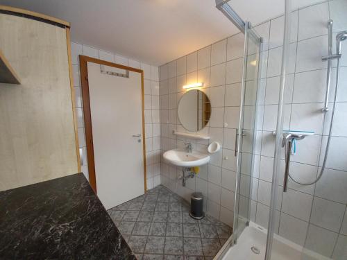 a bathroom with a sink and a shower and a mirror at Haus Branol in Hermagor